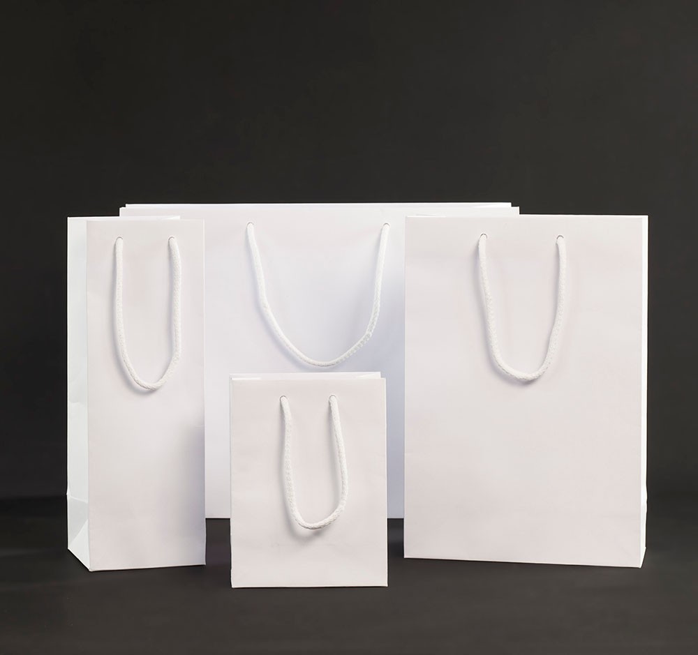 Plain Luxury Gift Bags