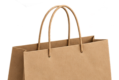 Brown kraft twisted handle paper bag