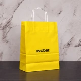 Twisted Handle Paper Bags