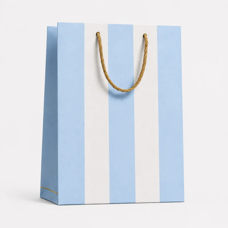 Striped Argentina Bag
