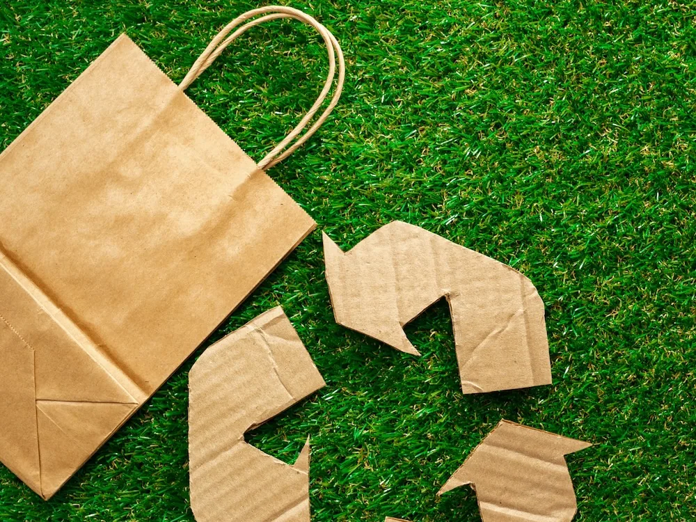 What are Truly Eco-Friendly Carrier Bags?