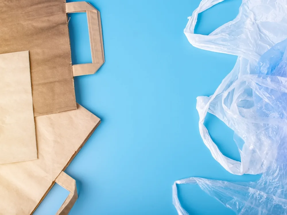 Paper Bags vs Plastic Bags - Are Paper Bags A Downgrade?